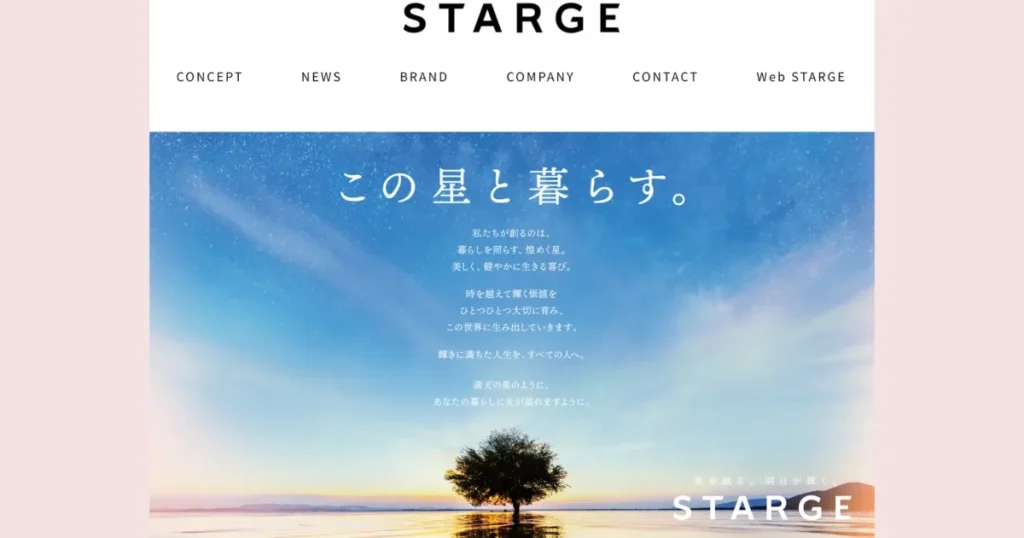 スタージュ株式会社のホームページ画像